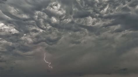 Asperatus Undulatus Youtube