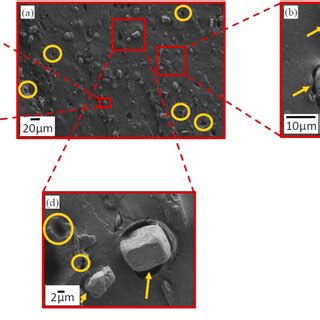 Sem Micrographs Of Fracture Surface Of Elastomer App Composite At