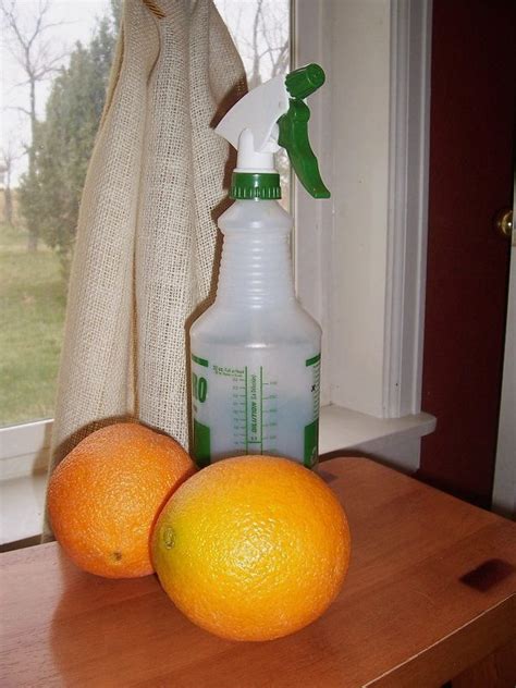 Diy All Purpose Citrus Cleaner • The Prairie Homestead Citrus Cleaner