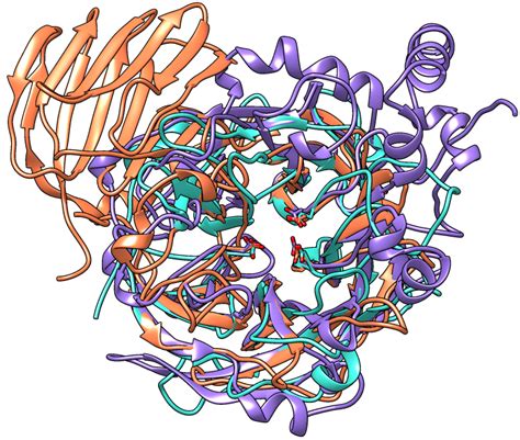Image Tutorial: Glycoside Hydrolases 
