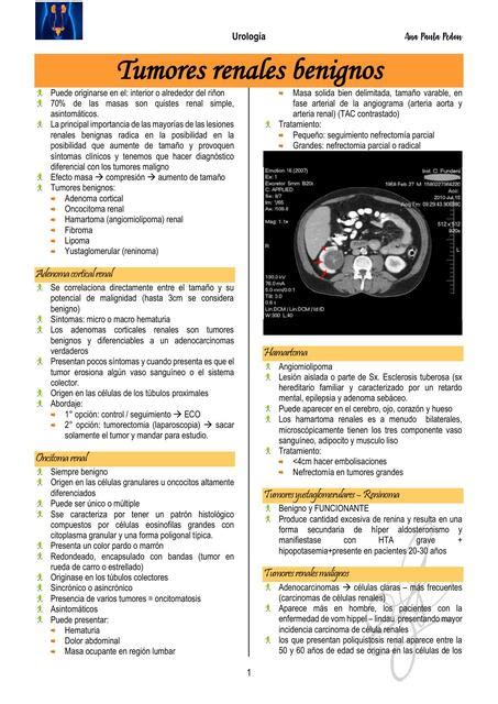 Tumores Renales Benignos Dra Ana Pedon UDocz