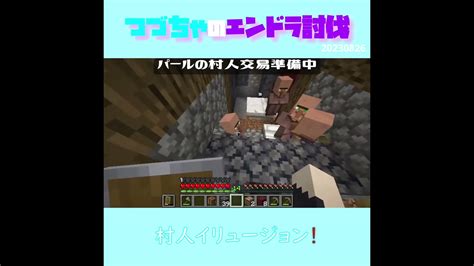 【マイクラ】村人イリュージョン！ Fromつづちゃのエンドラ討伐！20230826 Minecraft Shorts マイクラ（minecraft）動画まとめ