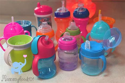 Nuk Sippy Cup Vs Bottle - Best Pictures and Decription Forwardset.Com