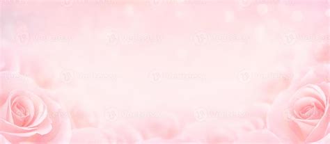 Pink Rose Flowers With Blurred Sofe Pastel Color Background For Love Wedding And Valentines Day