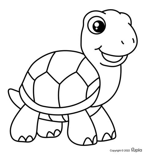 🖍️ Tortuga Fácil Y Bonita Dibujo Para Colorear Gratis Para Imprimir