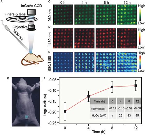 Frontiers Recent Progress In NIR II Contrast Agent For Biological Imaging