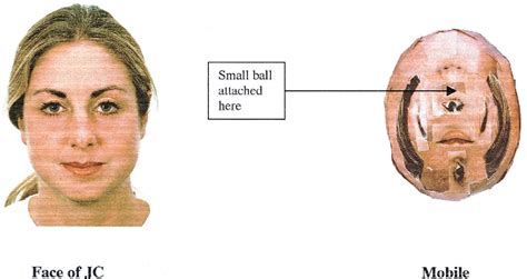 Figure From Sex Differences In Human Neonatal Social Perception Semantic Scholar