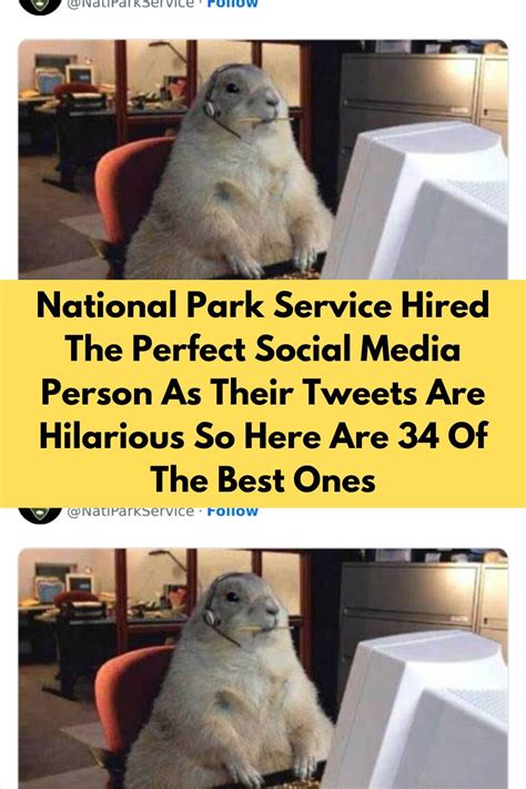 National Park Service Hired The Perfect Social Media Person As Their