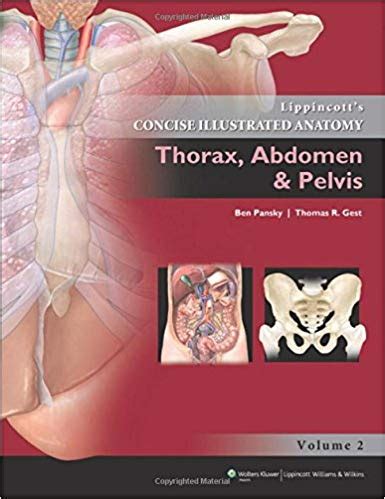 Lippincott Concise Illustrated Anatomy Thorax Abdomen Pelvis