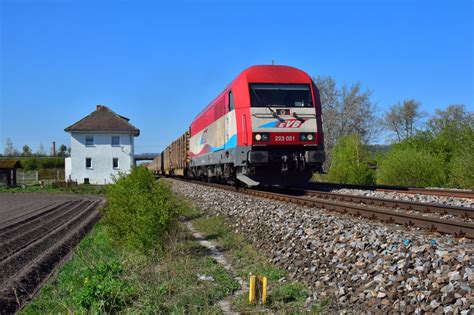 Noch ein paar Fotoergebnisse (m13B)