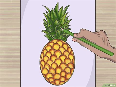 How To Draw A Pineapple Steps With Pictures Pineapple Drawing