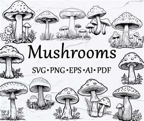 Pilz Clipart Pilz Clipart Pilz Datei Mystischer Pilz Svg Zauberpilz