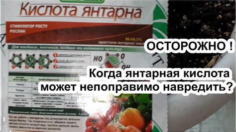Не применяйте ЯНТАРНУЮ КИСЛОТУ в этих случаях! Как янтарная кислота ...