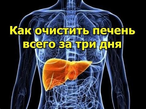 Как очистить печень всего за три дня - Народная медицина - YouTube