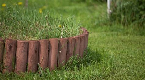 Весенние работы на газоне: реставрация газона после зимы