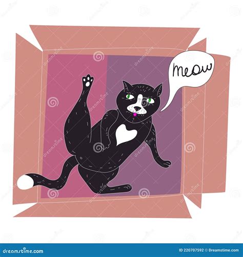 Funny Black Cat Licks Itself In A Cardboard Box Animal Pet Character