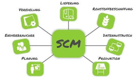 Supply Chain Management Alle Scm Aspekte Im Detail Erkl Rt