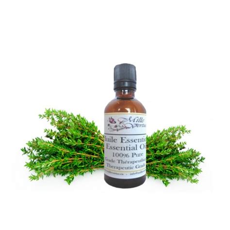 Thyme Essential Oil Thymus Vulgaris