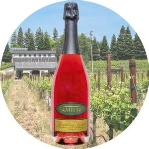 Sparkling Syrah Ros Amista Vineyards Sonoma County