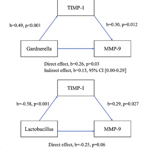 Mean Mmp 9 Timp 1 And Mmp 9timp 1 Ratio In Second And Third