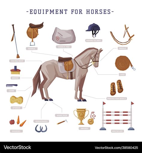 Equipment for horses set horse riding essentials Vector Image