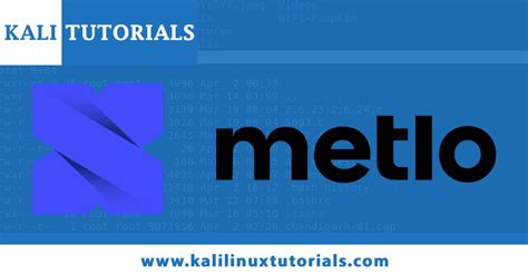Metlo :An Open-Source API Security Platform