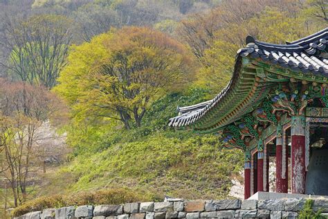 Korea Temple Flower Pixabay의 무료 사진