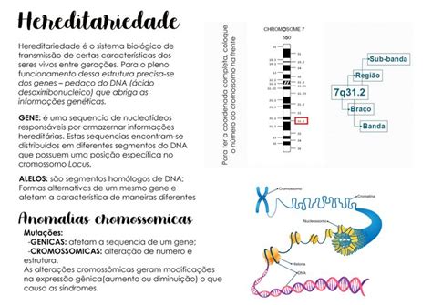Resumo Sobre Hereditariedade - Hereditariedade | Mapa mental hereditariedade, Hereditariedade resumo ...