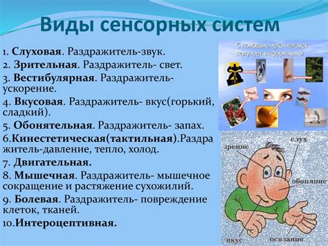 Гигиена сенсорных систем - online presentation