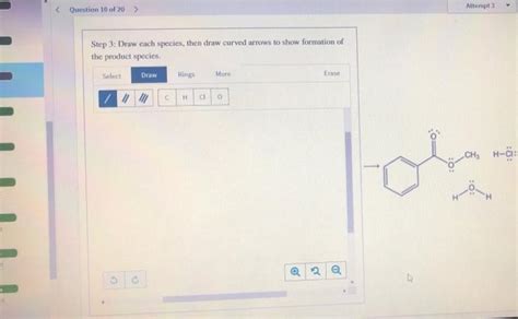 Solved Examination Of The Fischer Esterification Mechanism Chegg