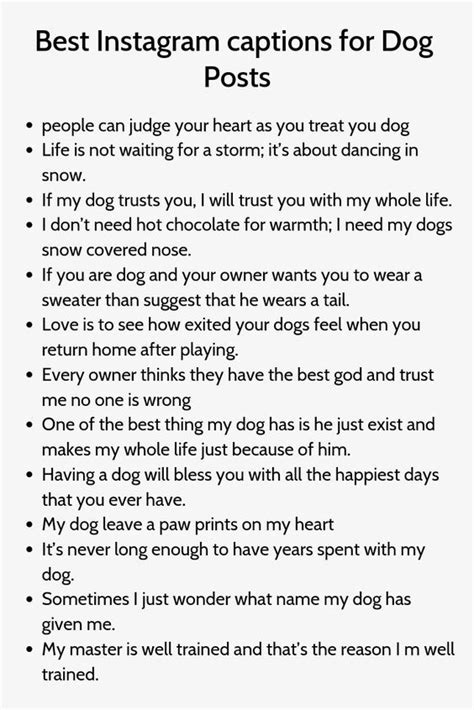 77 Unused Captions For Your Dogs Instagram Woof Woof Woof In 2020