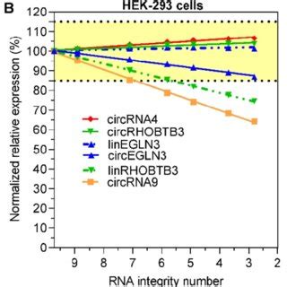 Expression Of CircRNAs And Their Linear Counterparts Depending On RNA