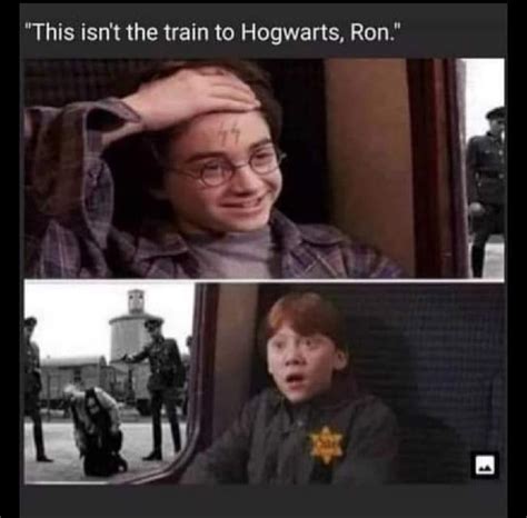 You’re a grand wizard Harry : r/HolUp