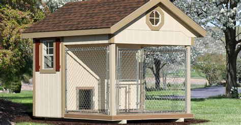 A New Dog House for Your Favorite Furry Pal