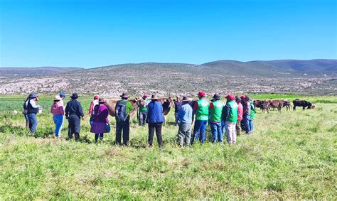 Ganaderos De Parinacochas Fortalecen Sus Capacidades Productivas A