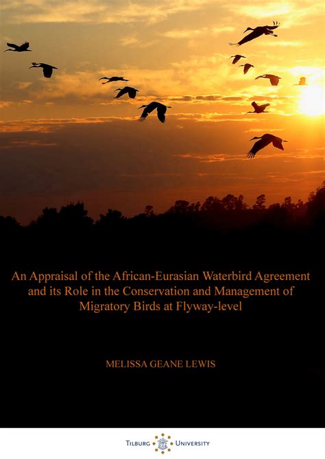 Pdf An Appraisal Of The African Eurasian Waterbird Agreement And Its