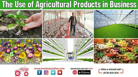 The Use of Agricultural Products in Business