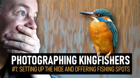 Photographing A Pair Of Kingfishers 1 Setting Up The Hide And