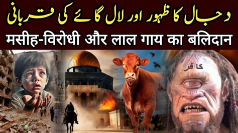 The Appearance Of Dajjal And The Sacrifice Of The Red Cow YouTube