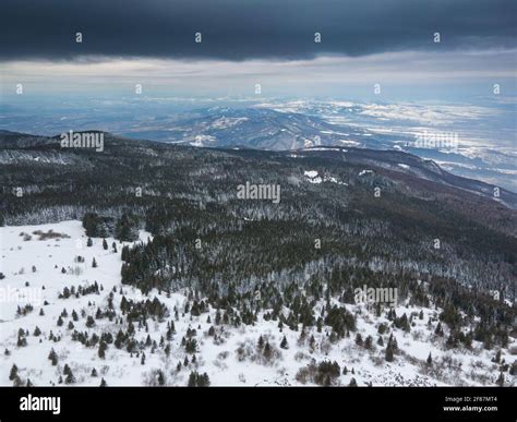 Aerial View Of Vitosha Mountain Near Kamen Del Peak Sofia City Region