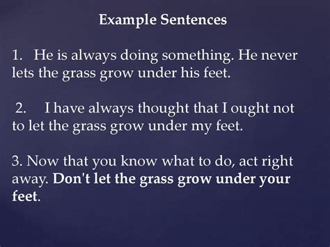 Not Let Grass Grow Under Feet