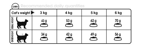 Royal Canin 🐱 Feline Care Nutrition Digestive Care Cat Food