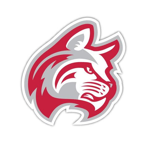 Wildcat Logo