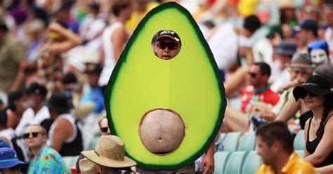 Hilarious Reddit Photoshop Battle Avocado Man Edition Fail Blog