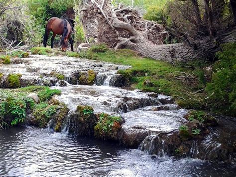 Cold Creek Nevada Cold Creek Places To Visit Nature Pictures