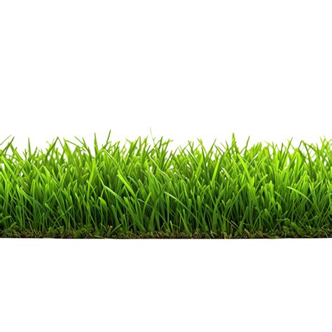 Ai Generated Green Grass Field Clip Art 40218716 Png