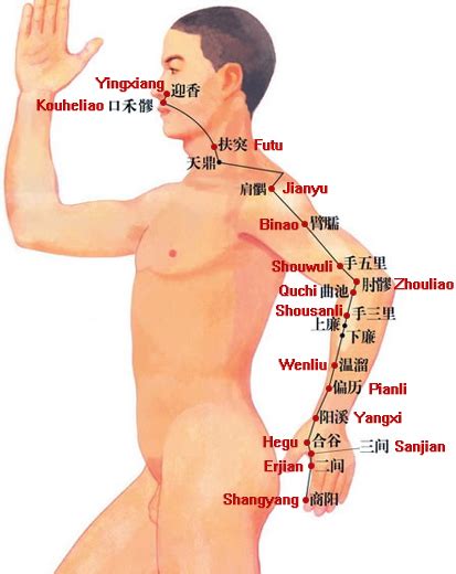 Large Intestine Meridian Of Hand Yangming Acupuncture Diagram