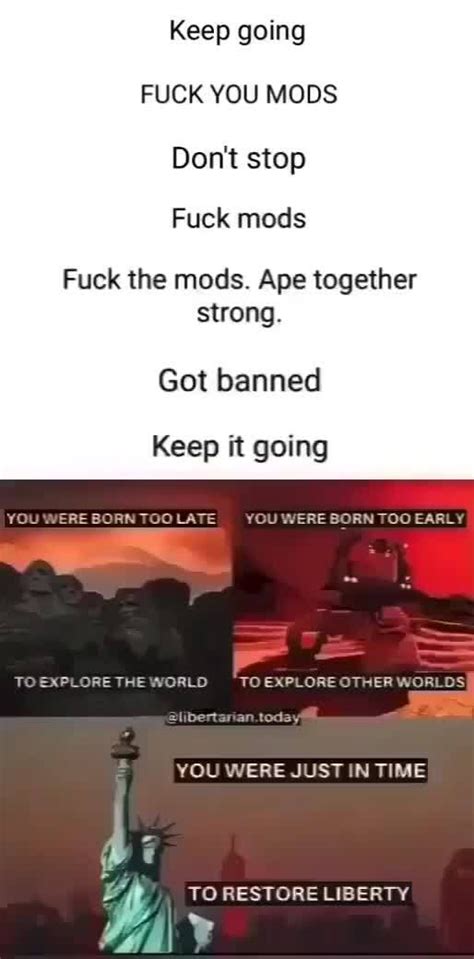 Keep Going FUCK YOU MODS Stop Fuck Fuck The Mods Ape Together Strong