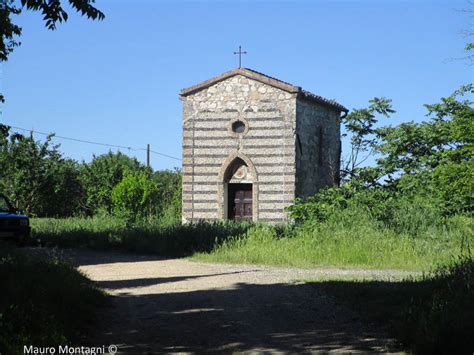 Via Francigena Da Colle Di Val Delsa A Monteriggioni Ursea Tuscany