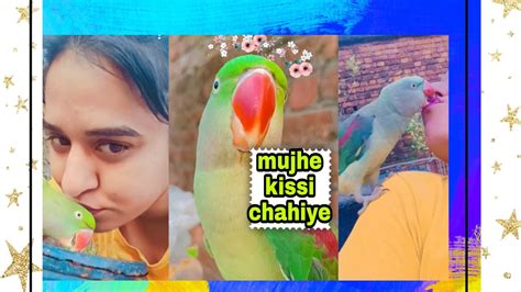 Mitthu So Friendly Ringneck Talking Parrot Mitthu Talking And Saying Main Mitthu Geegorgeous